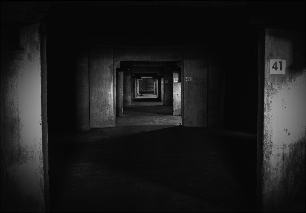 Asigned Subject In Class M By Bill Rothfuss For Deep Into The Grain Silos NOV-2018.jpg